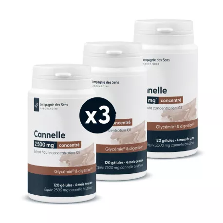 Cannelle concentrée - Ratio 10:1