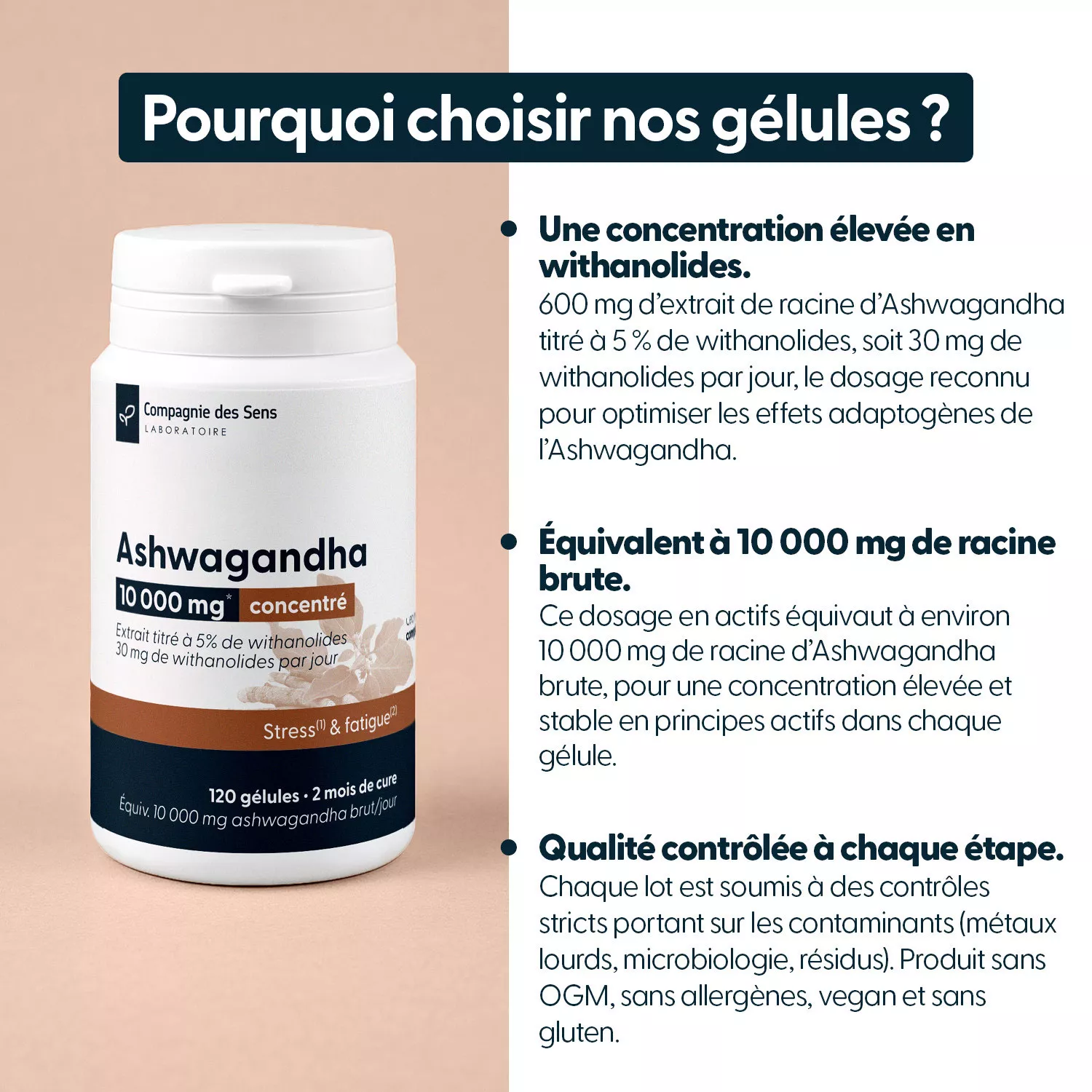 Ashwagandha concentré - Titré à 5 % de withanolides