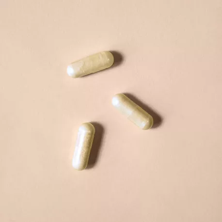 Artichaut titré à 5 % de cynarine - 30 gélules végétales