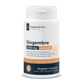 Gingembre concentré grossesse & enfants 