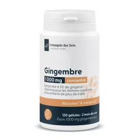 Gingembre concentré