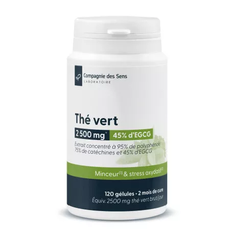 Thé Vert concentré - Titré à 45 % d'EGCG