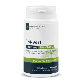 Thé vert concentré 