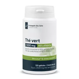 Thé vert concentré