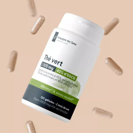 Thé Vert concentré - Titré à 45 % d'EGCG