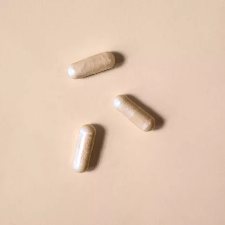 Thé Vert concentré - Titré à 45 % d'EGCG