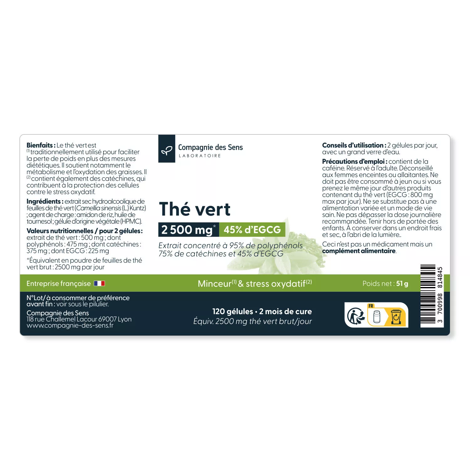 Thé Vert concentré - Titré à 45 % d'EGCG