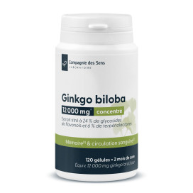 Ginkgo biloba concentré 