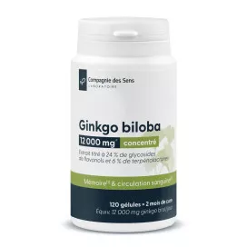 Ginkgo Biloba concentré