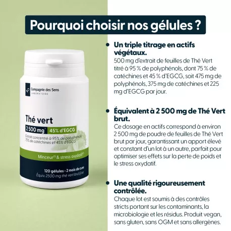 Thé Vert concentré - Titré à 45 % d'EGCG