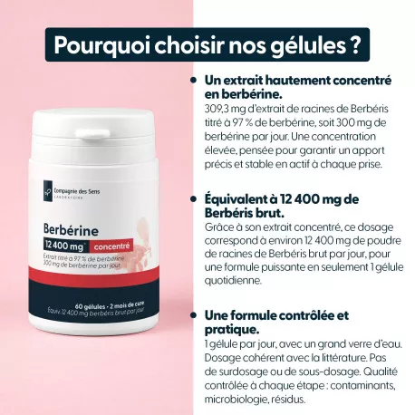 Berbérine concentrée - Issue de berbéris