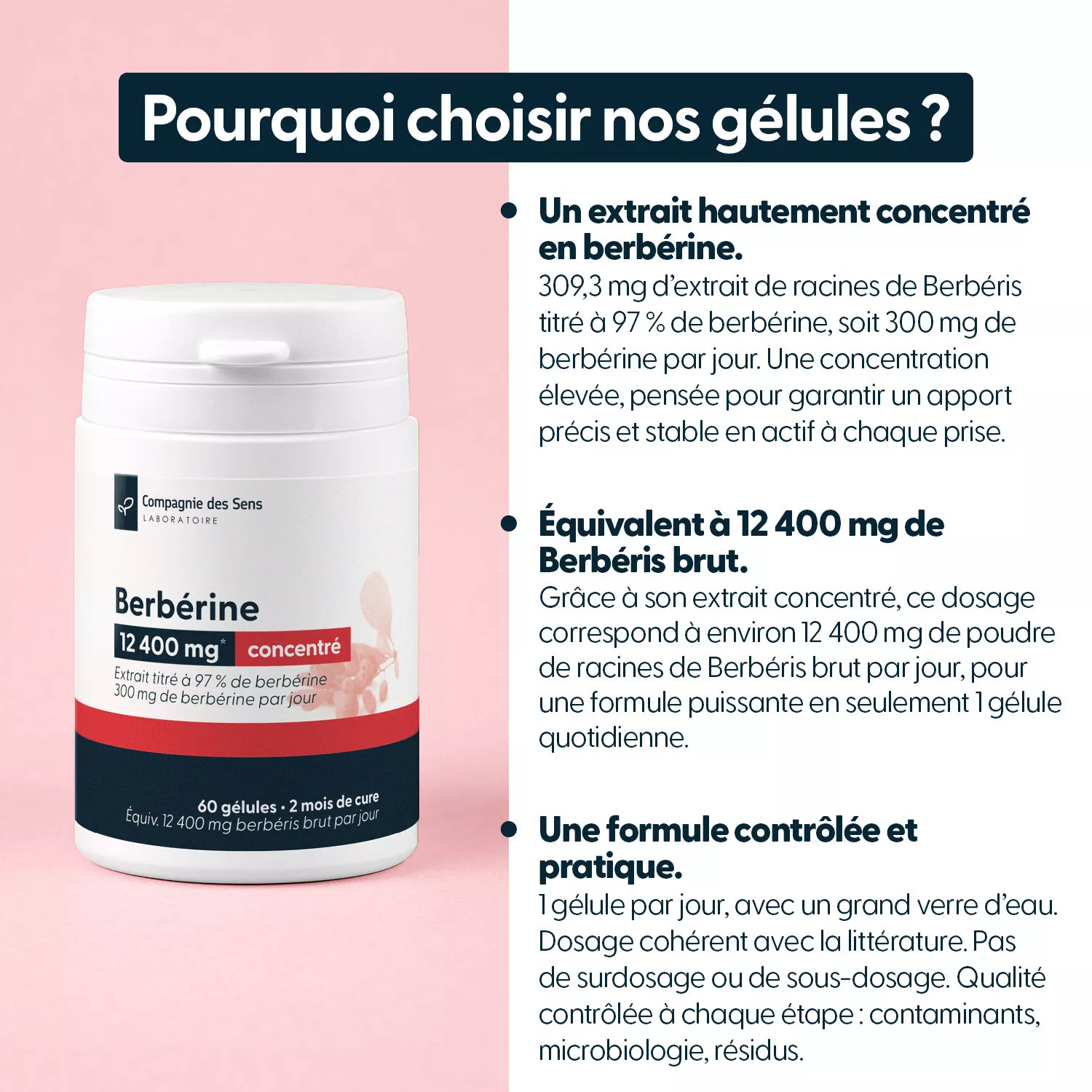 Berbérine concentrée - Issue de berbéris