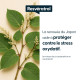 Resvératrol concentré (Poligonum cuspidatum) - 98 % pur