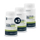Ginkgo Biloba - 30 gélules végétales