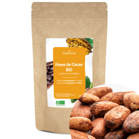 Fèves de cacao bio (entières, non torréfiées) 