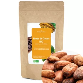 Fèves de Cacao BIO (entières, non torréfiées)