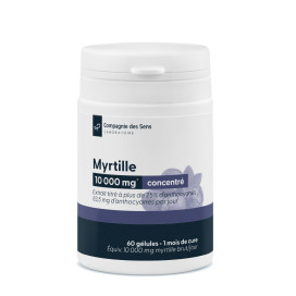 Myrtille concentrée 