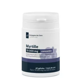 Myrtille concentrée