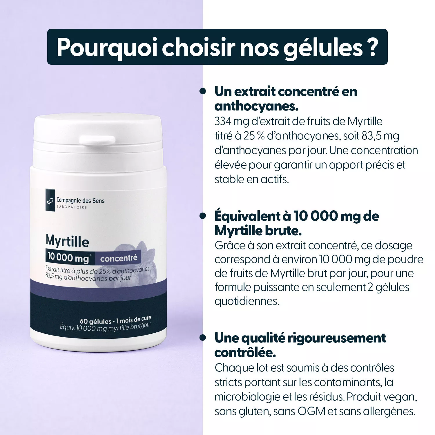 Myrtilles concentrées - Titrées à 25 % d'anthocyanes