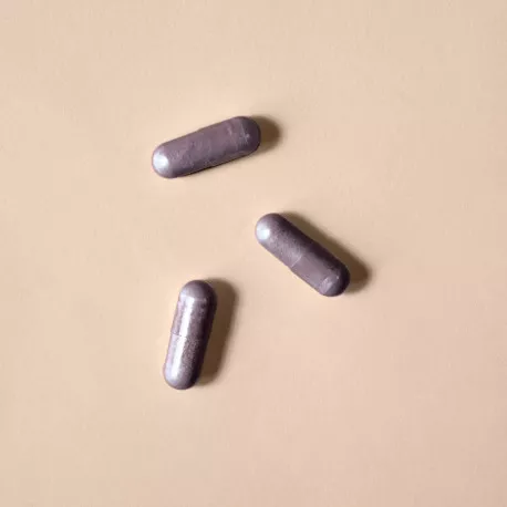 Myrtilles concentrées - Titrées à 25 % d'anthocyanes