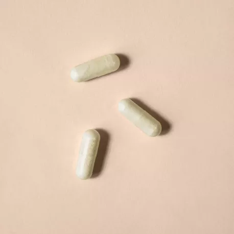 Chardon Marie titré à 80 % de silymarine - 30 gélules végétales