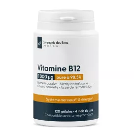 Vitamine b12 (méthylcobalamine)