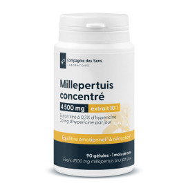 Millepertuis concentré 