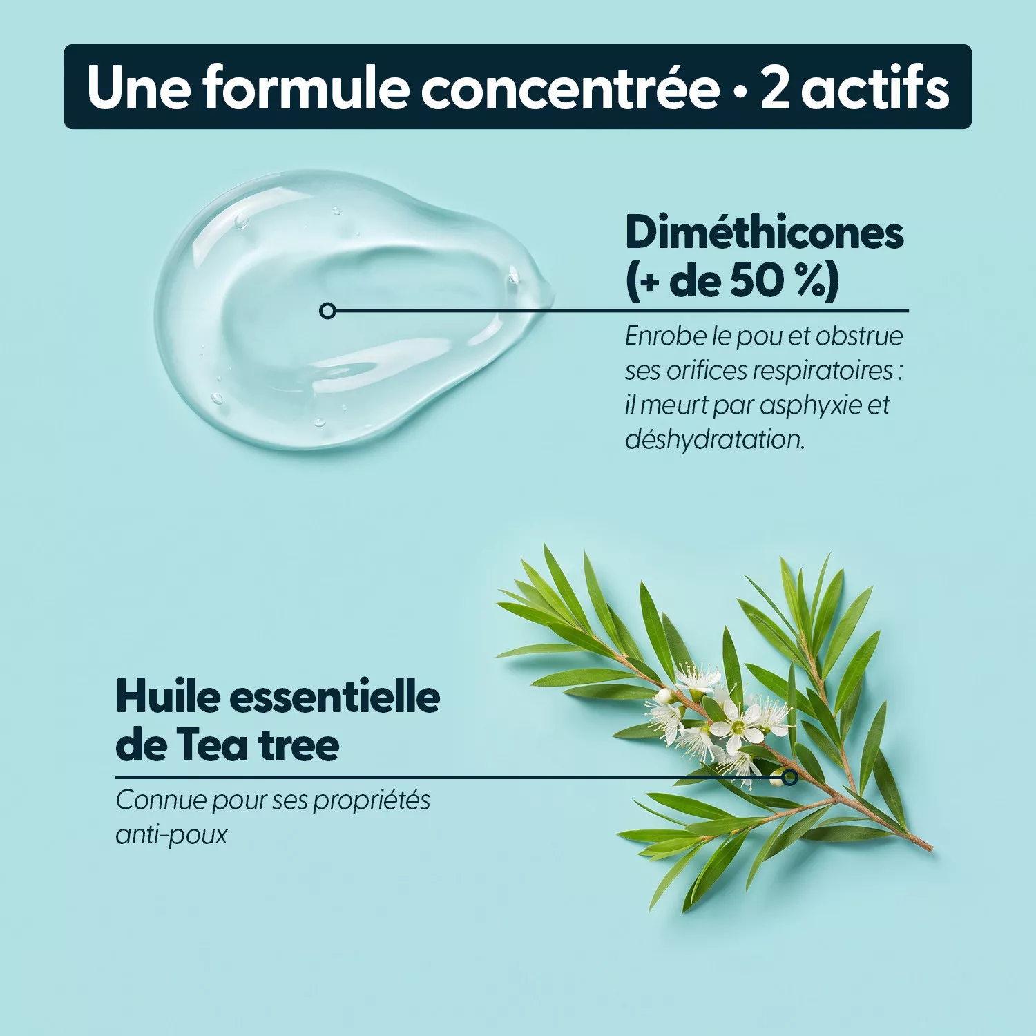ActiPoux - Spray Anti Poux & Lentes