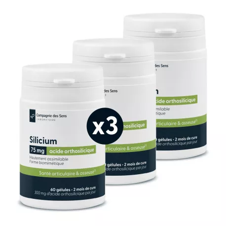 Silice concentrée (acide orthosilicique) - Titré à 25 % de silicium