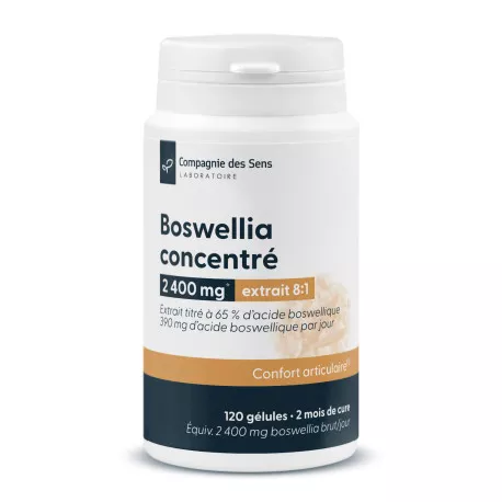 Boswellia concentré - Titré à 65 % d'acide boswellique