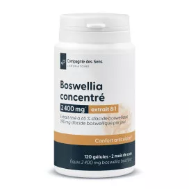 Boswellia concentré