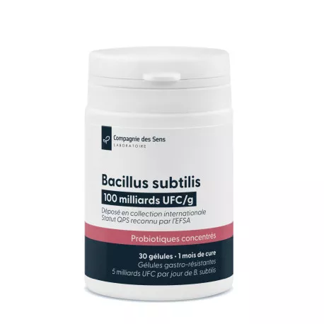 Bacillus subtilis - 5 milliards d'UFC par gélule