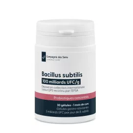 Bacillus subtilis