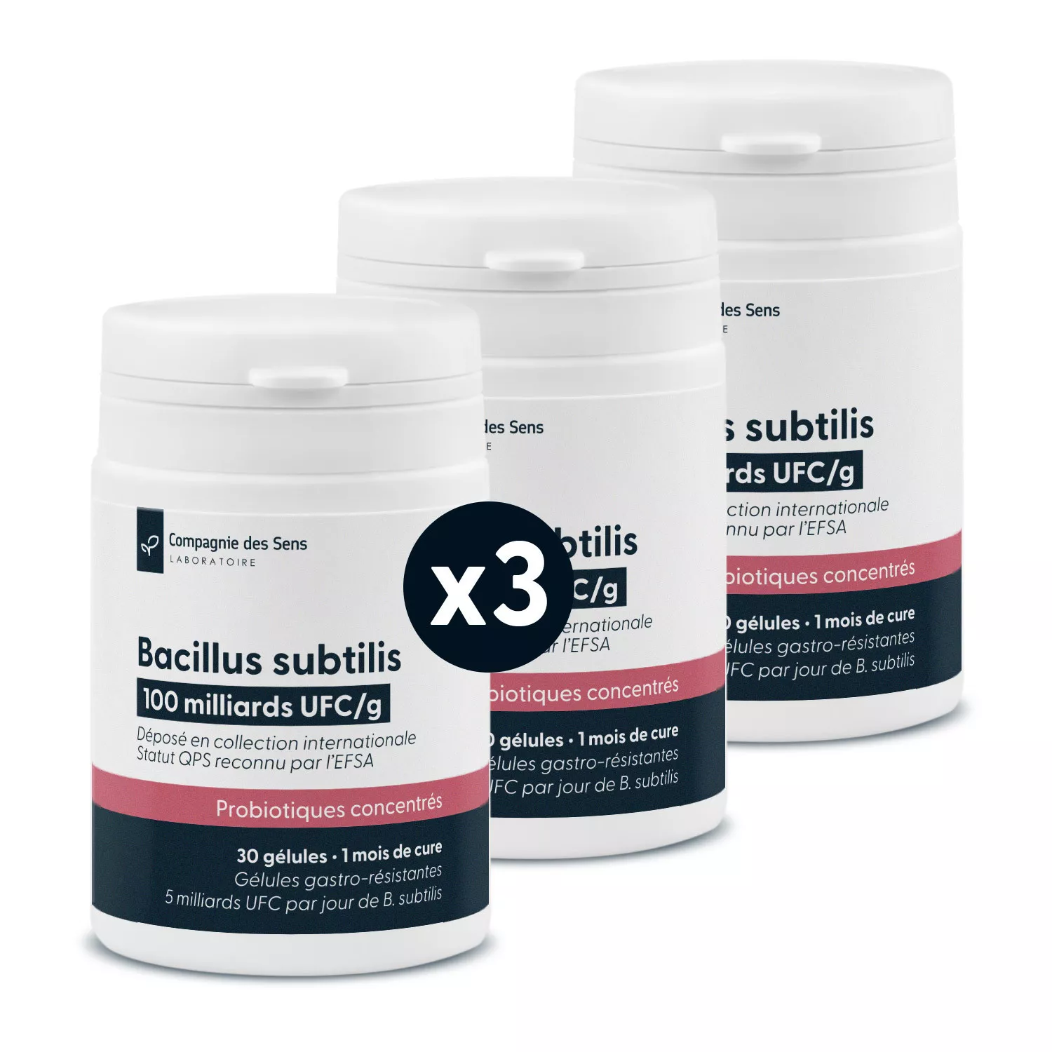 Bacillus subtilis - 5 milliards d'UFC par gélule