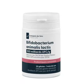Bifidobacterium animalis lactis