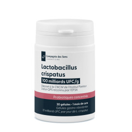 Lactobacillus crispatus 