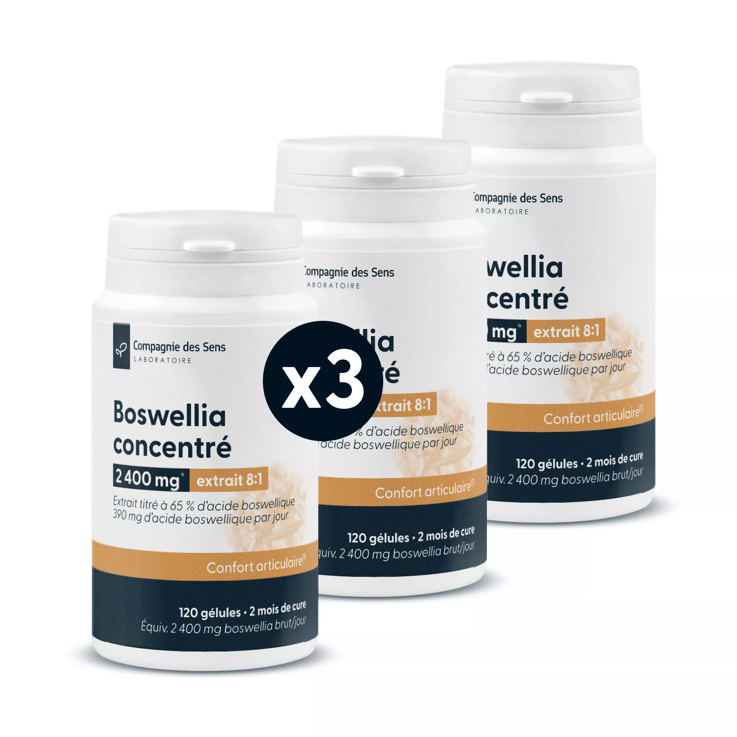 Boswellia concentré - Titré à 65 % d'acide boswellique