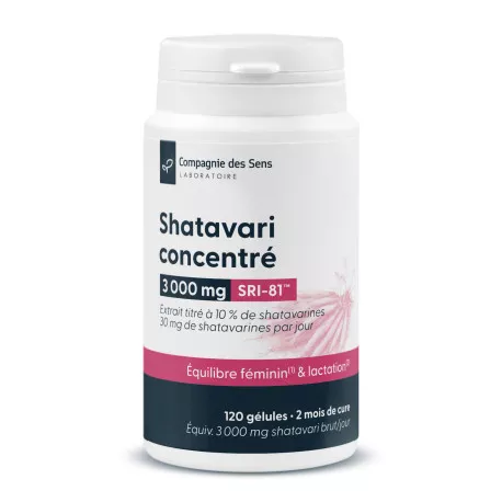 Shatavari concentré - Titré à 10 % de shatavarine