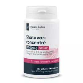 Shatavari concentré