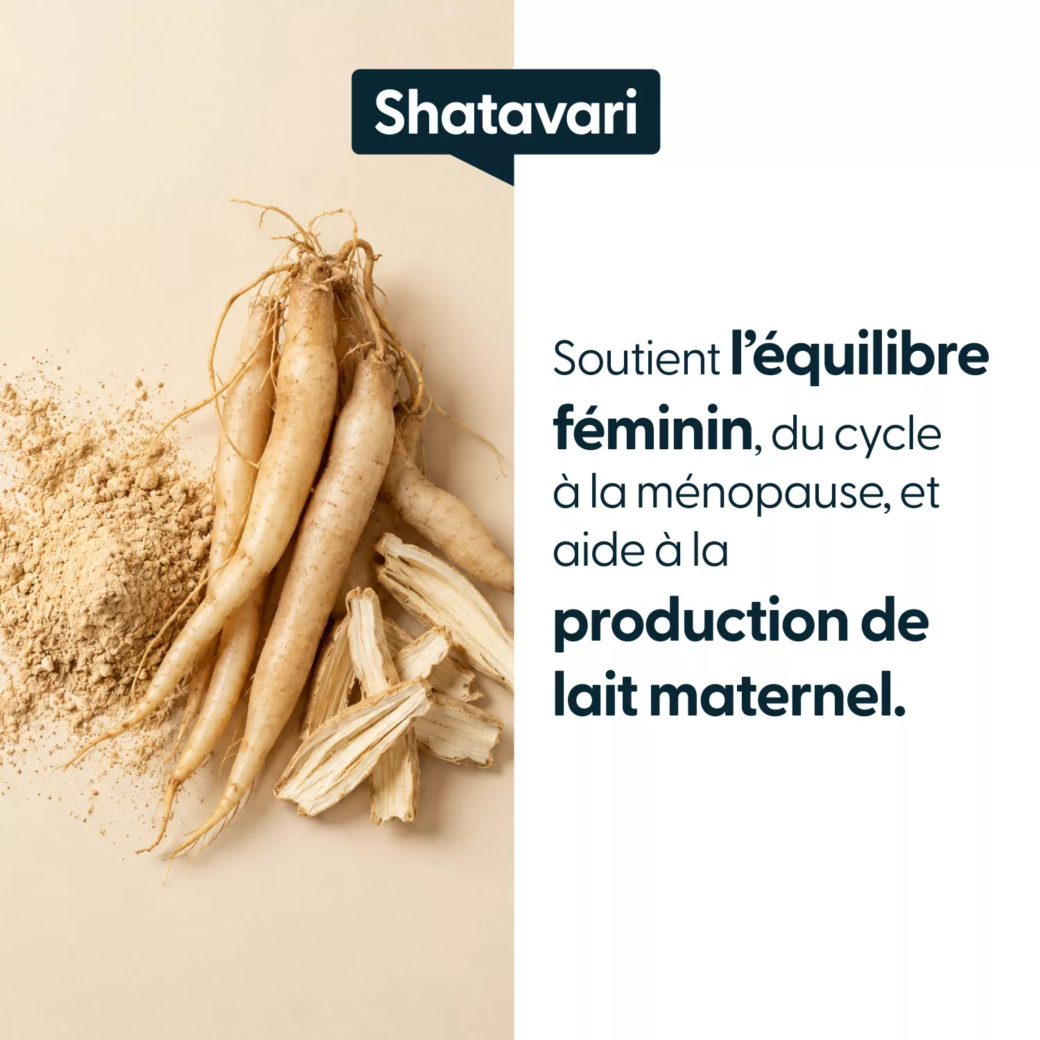 Shatavari concentré - Titré à 10 % de shatavarine