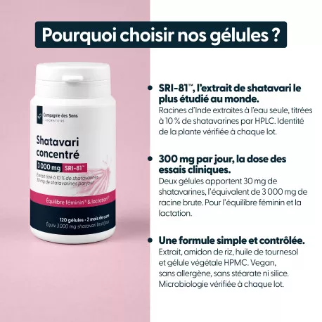 Shatavari concentré - Titré à 10 % de shatavarine