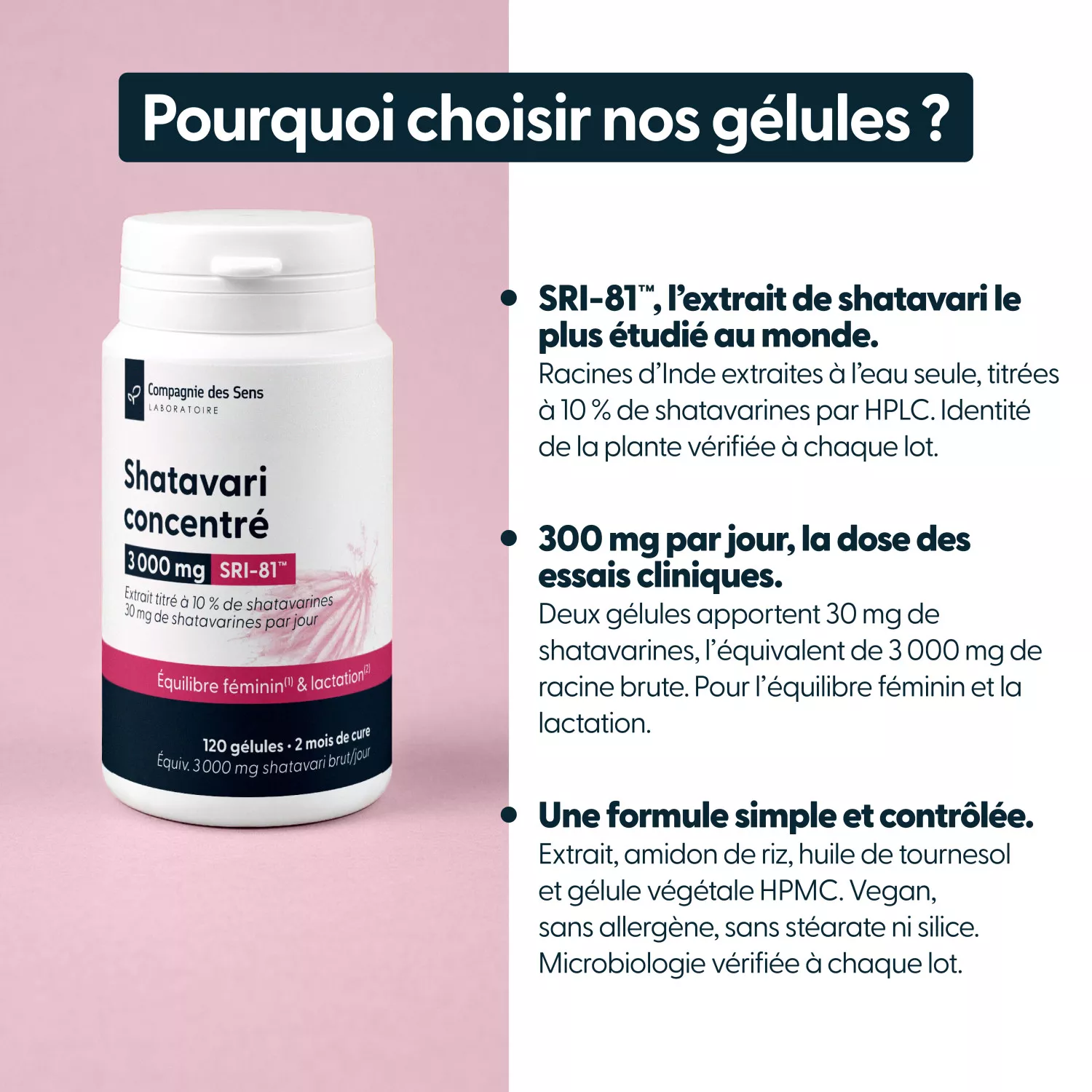 Shatavari concentré - Titré à 10 % de shatavarine