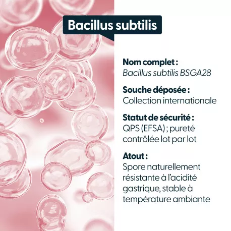 Bacillus subtilis - 5 milliards d'UFC par gélule
