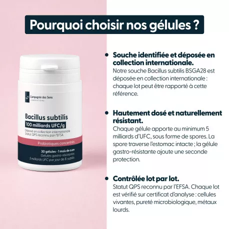 Bacillus subtilis - 5 milliards d'UFC par gélule