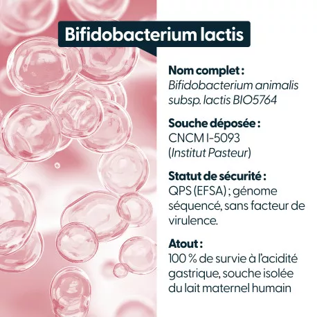 Bifidobacterium animalis lactis - 10 milliards d'UFC par gélule