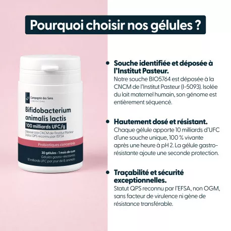 Bifidobacterium animalis lactis - 10 milliards d'UFC par gélule