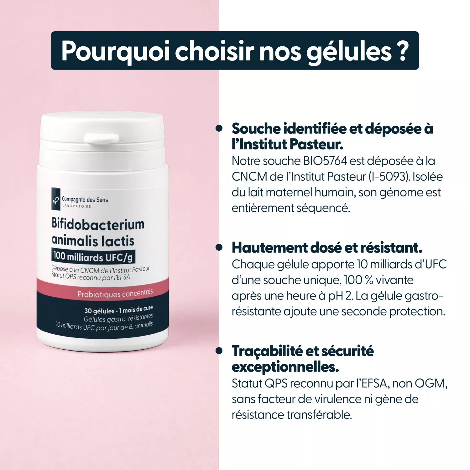 Bifidobacterium animalis lactis - 10 milliards d'UFC par gélule