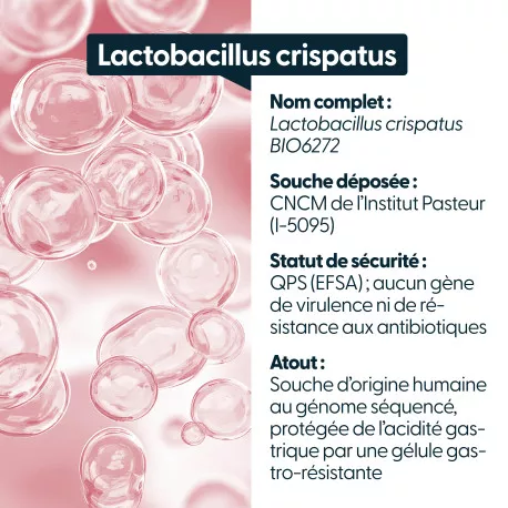 Lactobacillus crispatus - 10 milliards d'UFC par gélule
