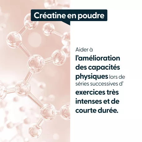 Créatine monohydrate en poudre - Pure à 100%