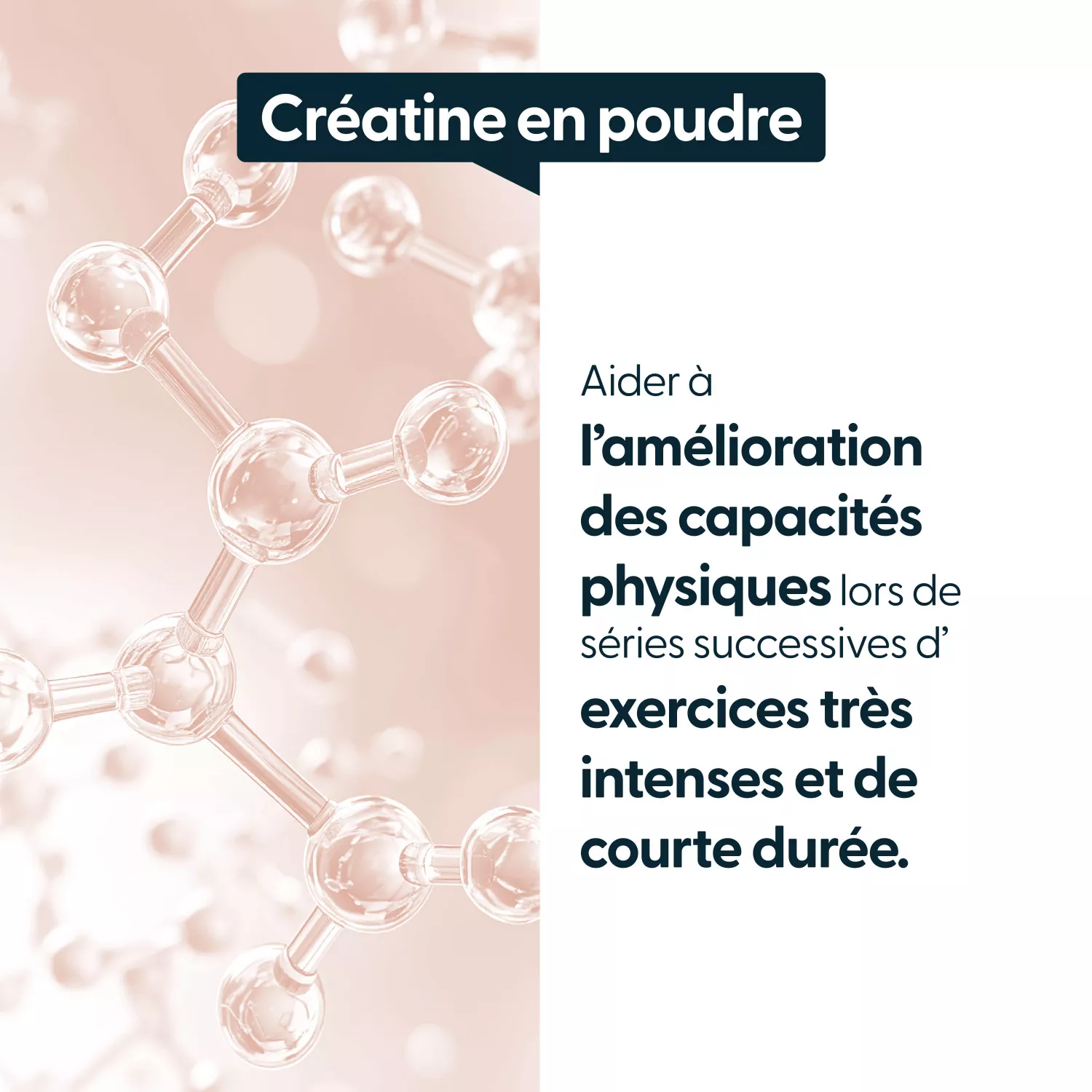 Créatine monohydrate en poudre - Pure à 100%